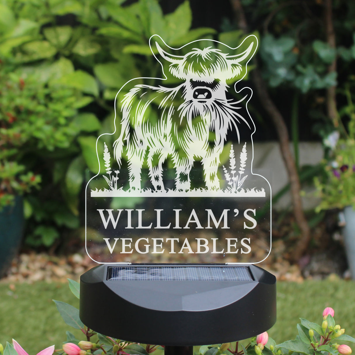 Personalised Highland Cow Garden Solar Light - Shop At Gift Moments - 9