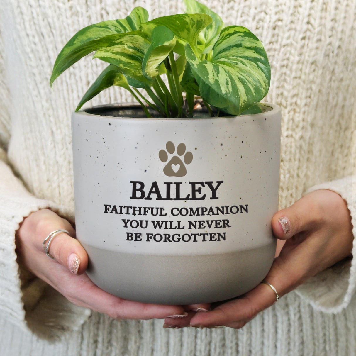 Personalised Pet Memorial Flecked Plant Pot - Shop At Gift Moments - 1