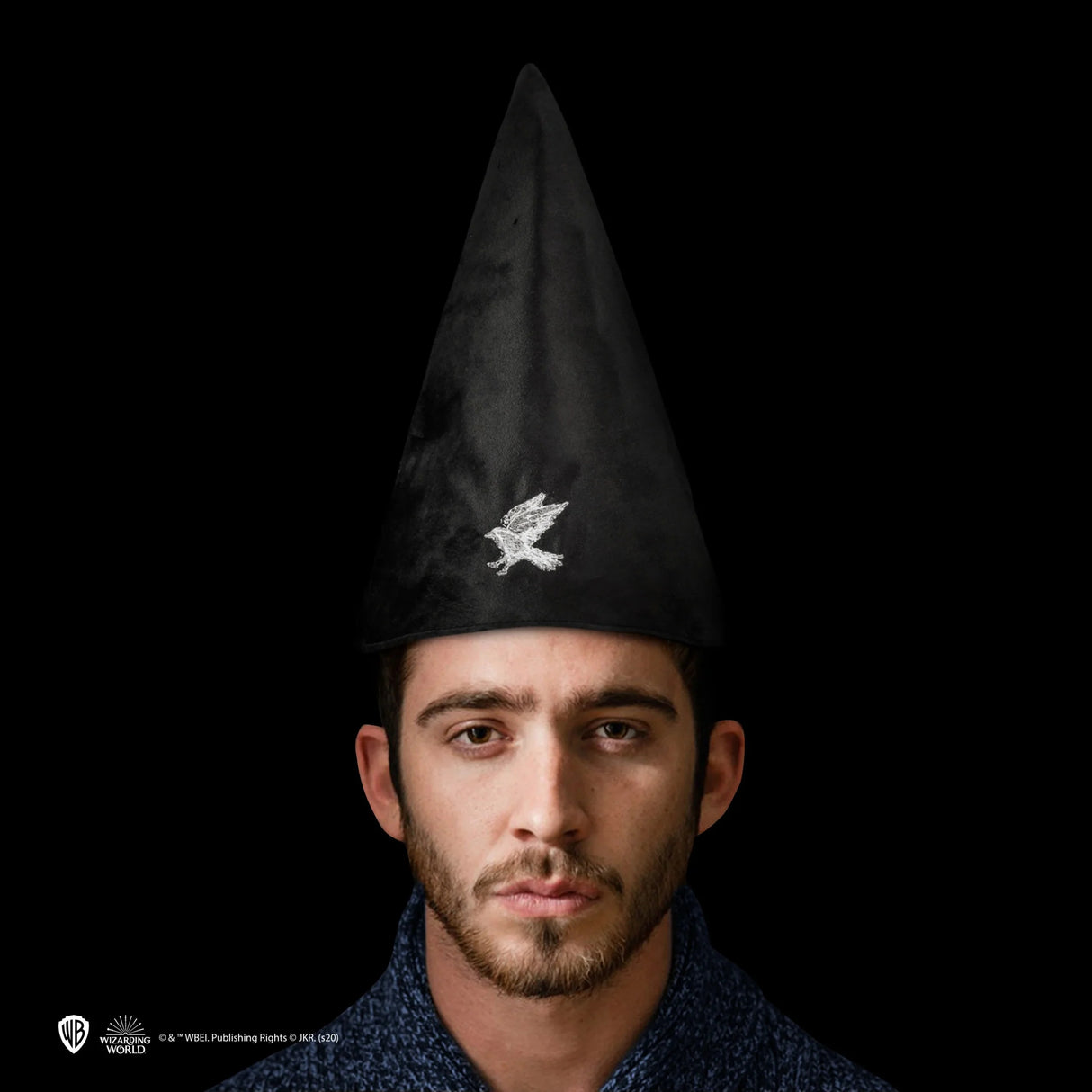 Student Hat - Ravenclaw