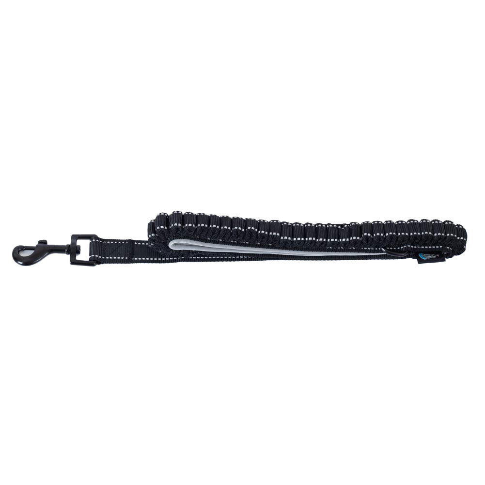 Newcastle United FC Reflective Dog Lead - Shop Pet Products At Gift Moments - 2