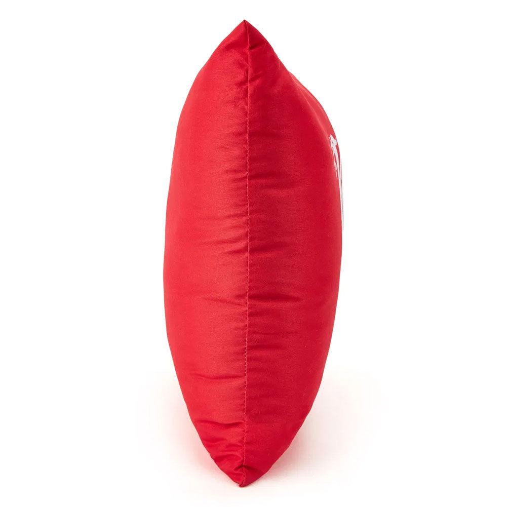 Liverpool FC Liverbird Cushion - Shop Cushions At Gift Moments - 3