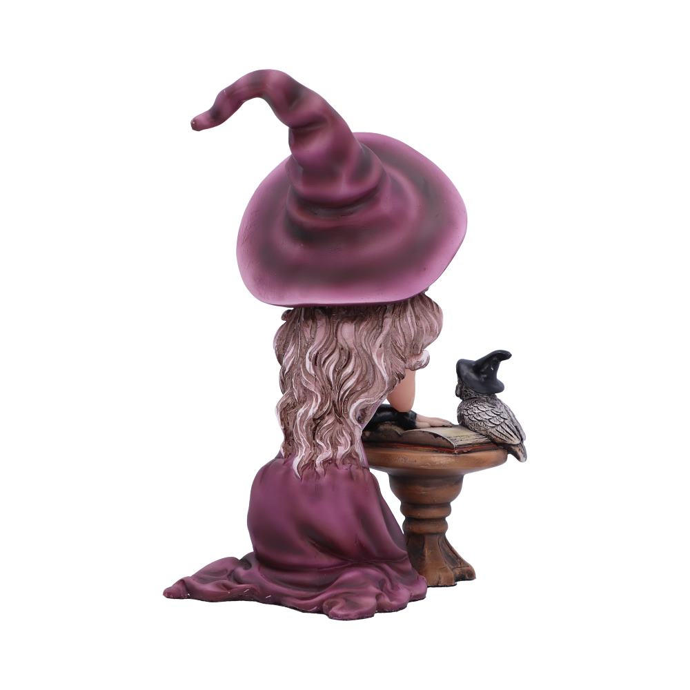 Agatha Witch Figurine 15cm - Shop Figures & Collectables At Gift Moments - 4