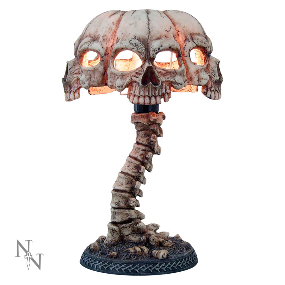 Atrocity Natural Bone Skull and Spine Lamp: 2 - Lighting By Gift Moments