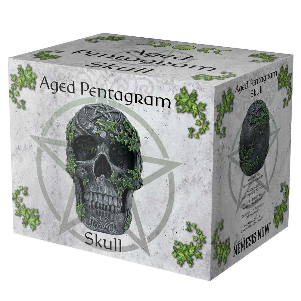 Aged Pentagram Skull Figurine