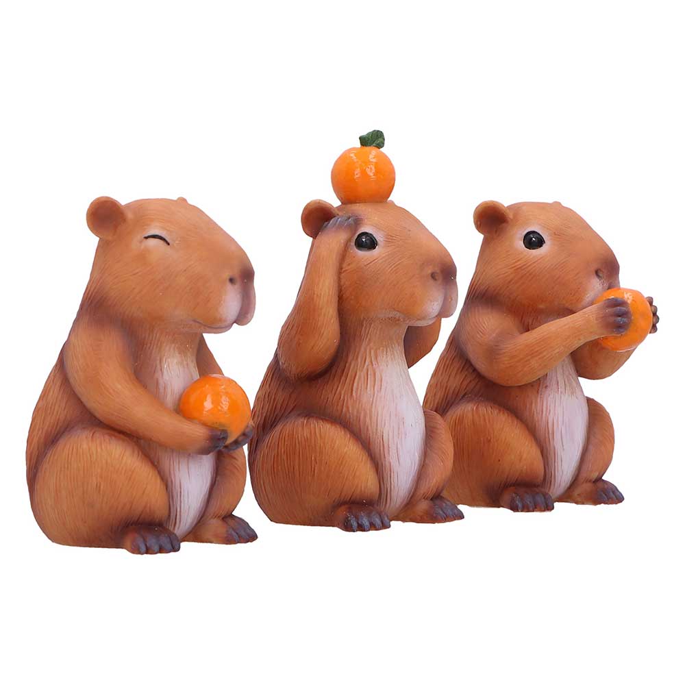 Three Wise Capybara