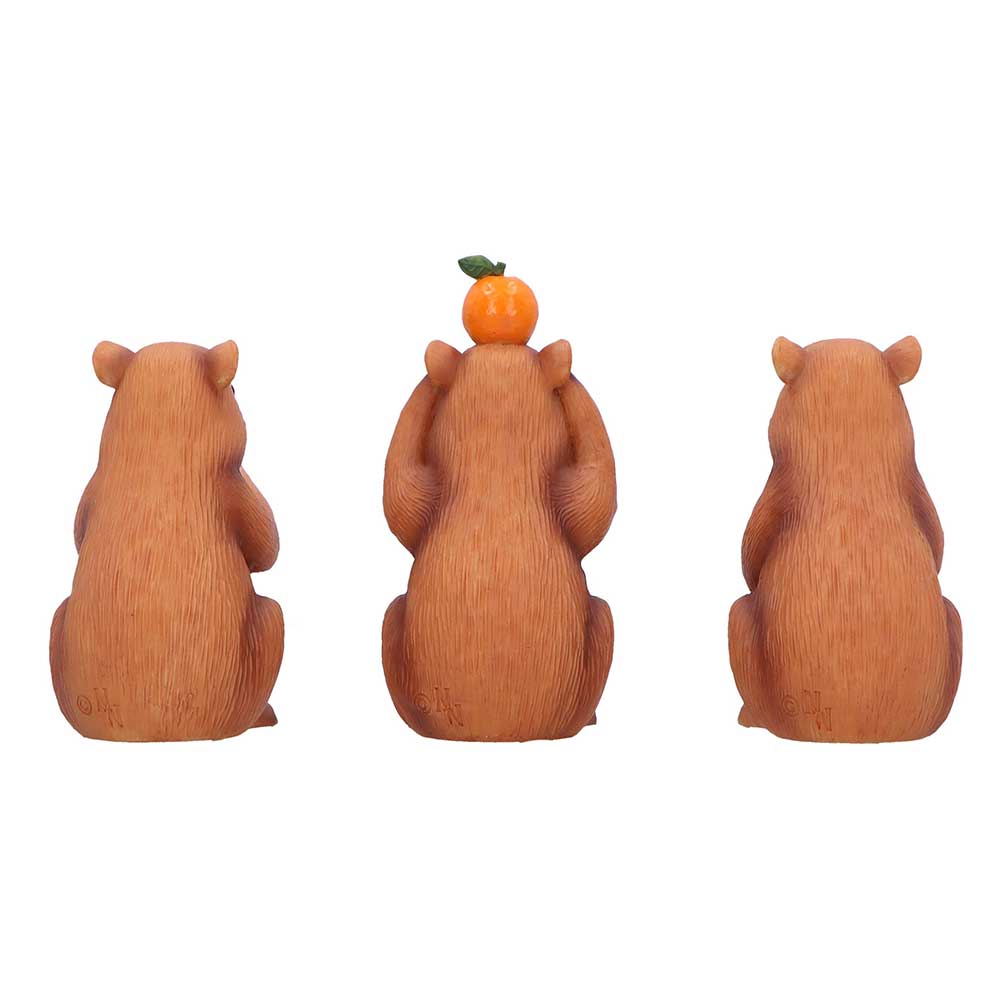 Three Wise Capybara