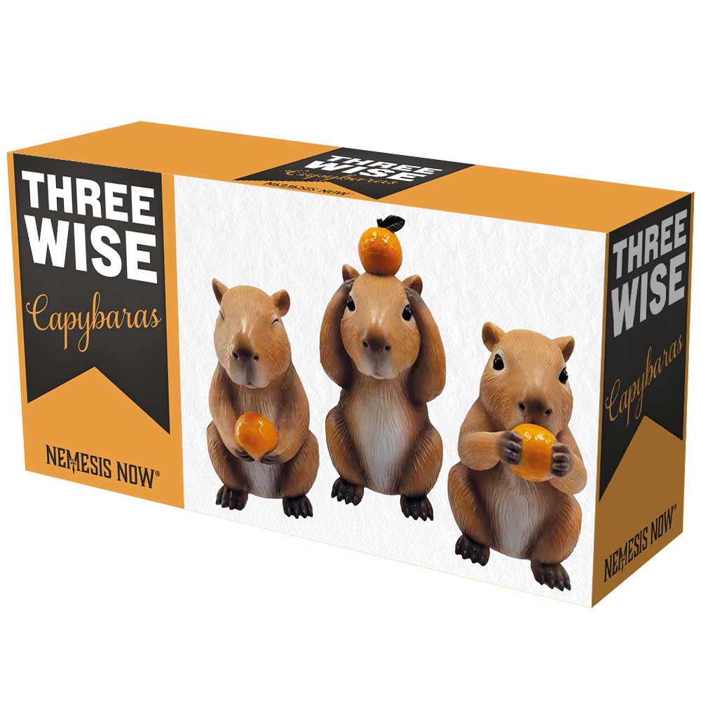 Three Wise Capybara