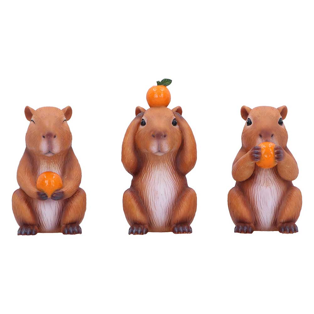 Three Wise Capybara
