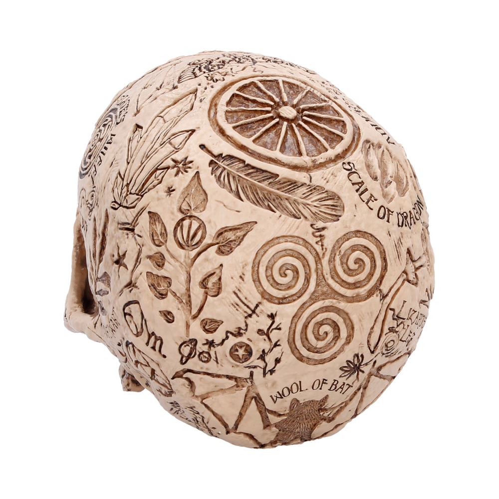 Apothecary Skull Figurine 14cm - Shop Figurines Medium (15-29cm) At Gift Moments - 5