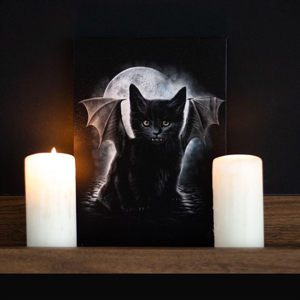 Bat Cat Canvas Plaque by Spiral Direct: 1 - By Gift Moments