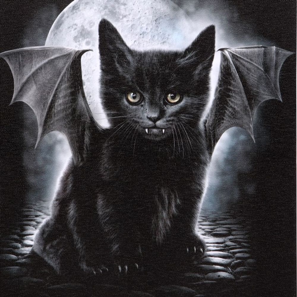 Bat Cat Canvas Plaque by Spiral Direct: 3 - By Gift Moments