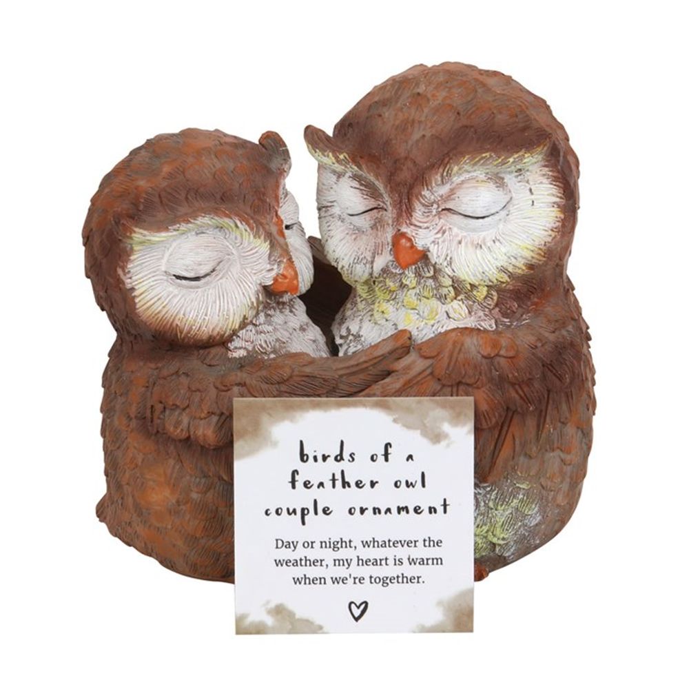 Birds of a Feather Owl Couple Ornament: 4 - Ornaments By Gift Moments