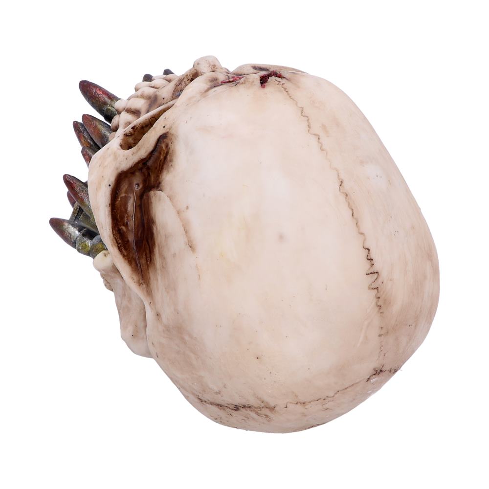 Bite the Bullet Skull Ornament: 4 - Figures & Collectables By Gift Moments