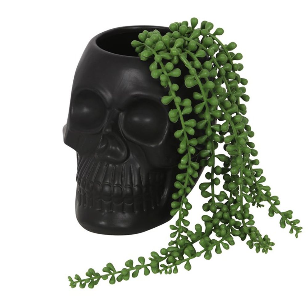 Black Skull Plant Pot: 1 - Pots & Planters By Gift Moments