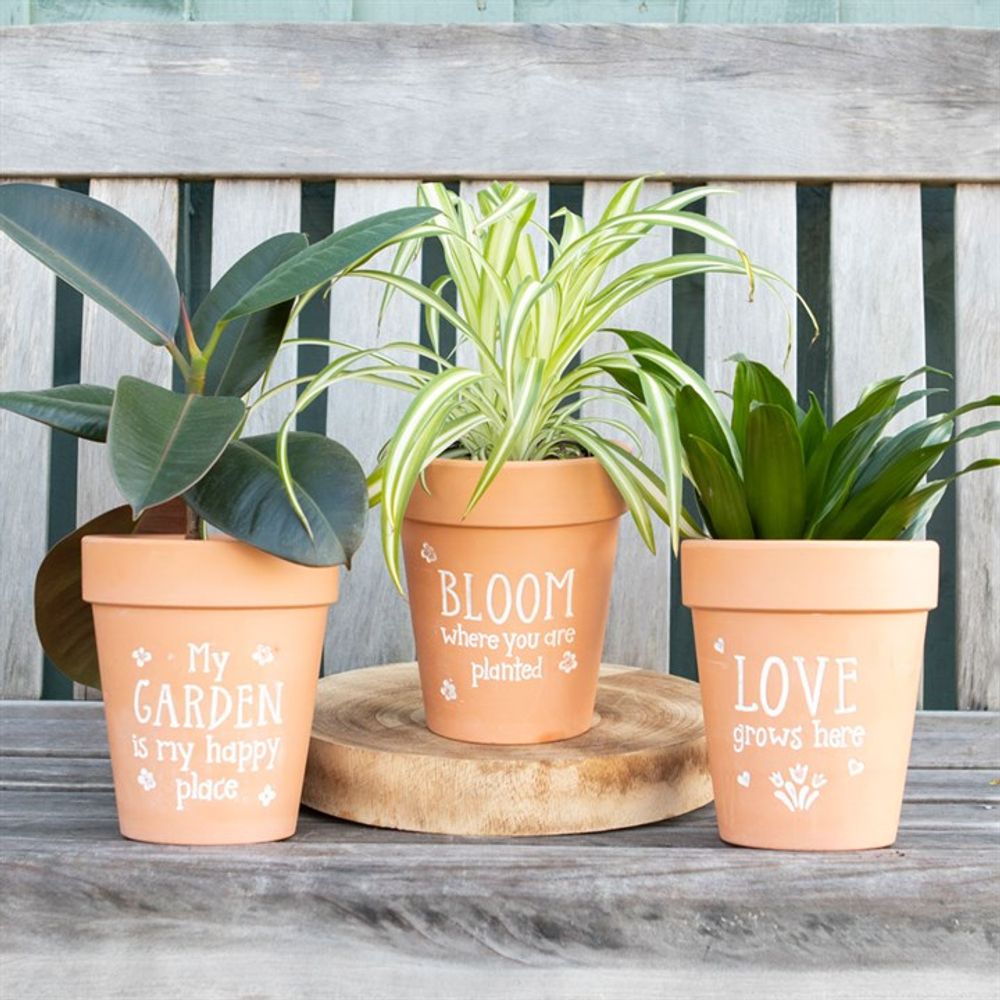 Bloom Where You Are Planted Terracotta Plant Pot: 3 - Pots & Planters By Gift Moments