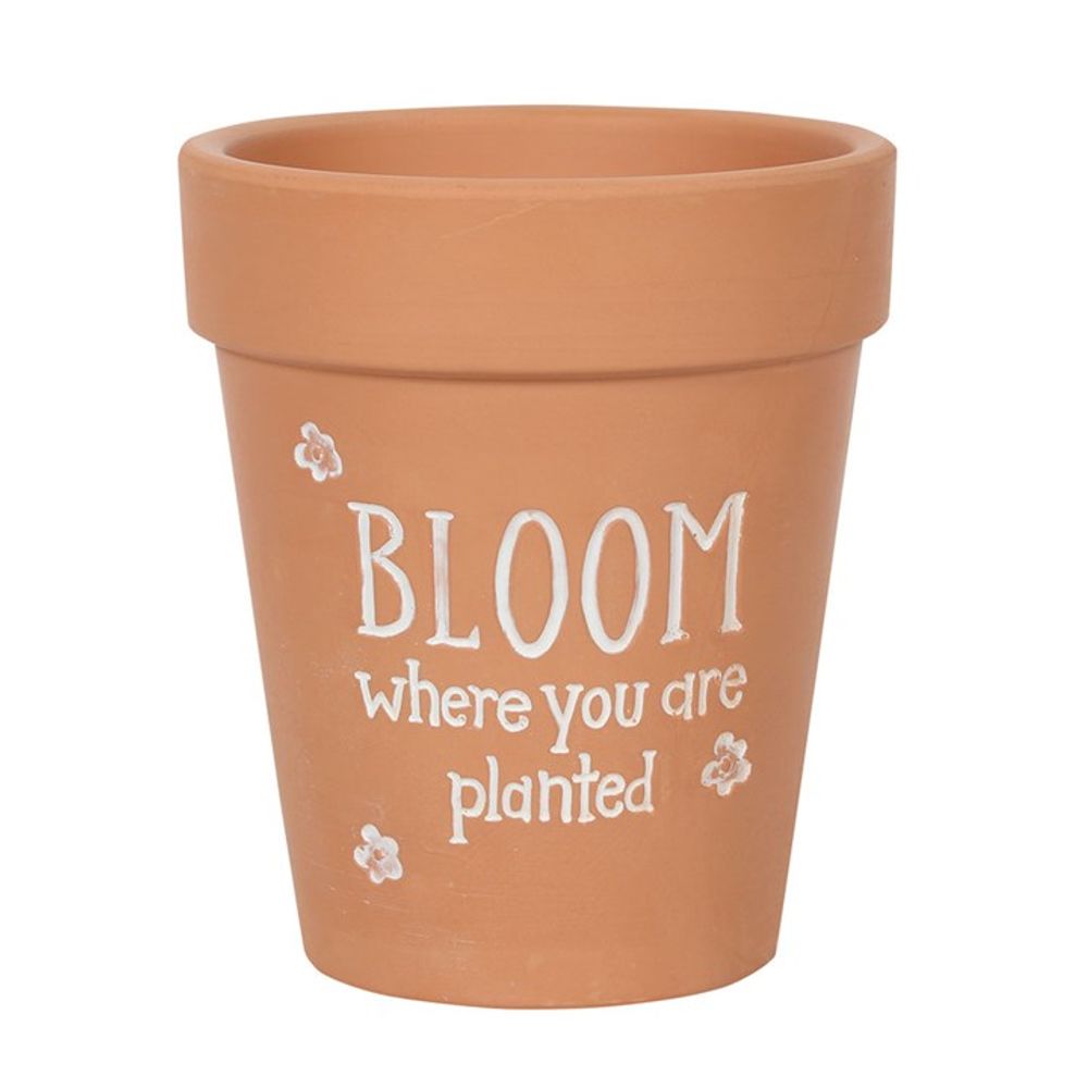 Bloom Where You Are Planted Terracotta Plant Pot: 1 - Pots & Planters By Gift Moments