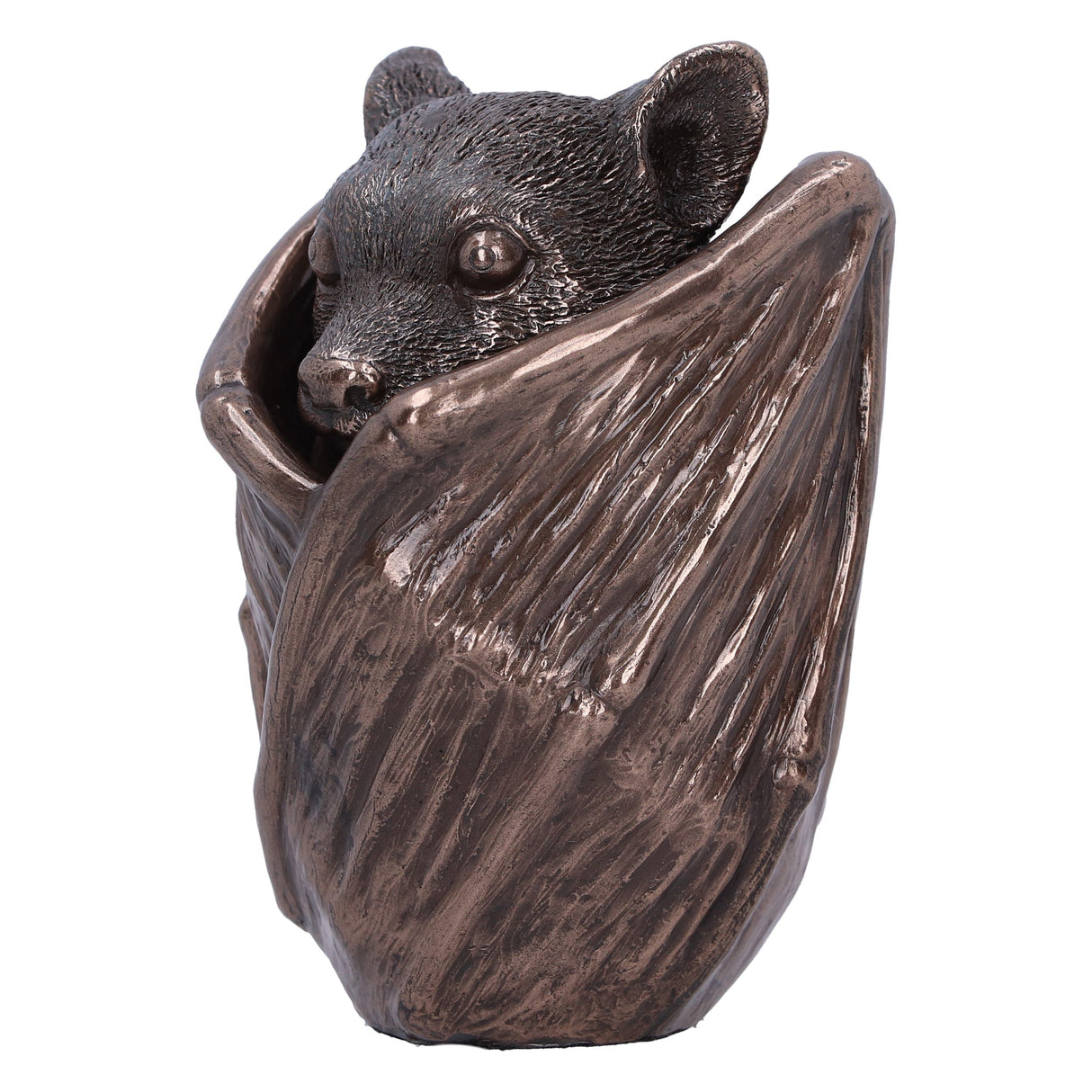 Bronze Bat Snuggle Box: 3 - Boxes By Gift Moments