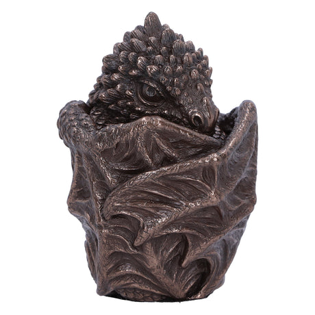 Bronze Dragon Snuggle Box: 5 - Boxes By Gift Moments