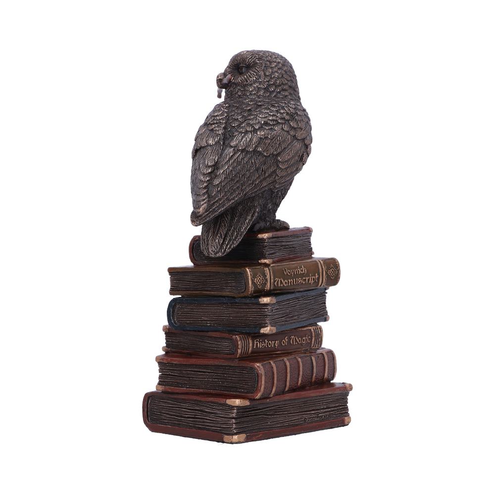 Bronze Spellcraft Witches Familiar Owl on Book Figurine: 3 - Figures & Collectables By Gift Moments