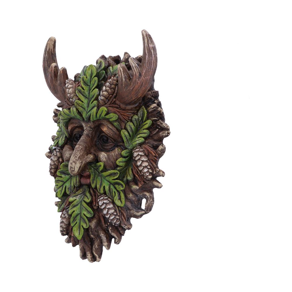 Bryn Wall Mounted Tree Spirit 20.8cm: 3 - Wall Hanging Sculptures By Gift Moments
