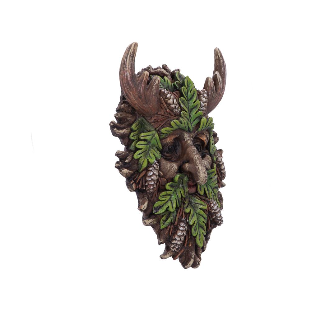 Bryn Wall Mounted Tree Spirit 20.8cm: 5 - Wall Hanging Sculptures By Gift Moments