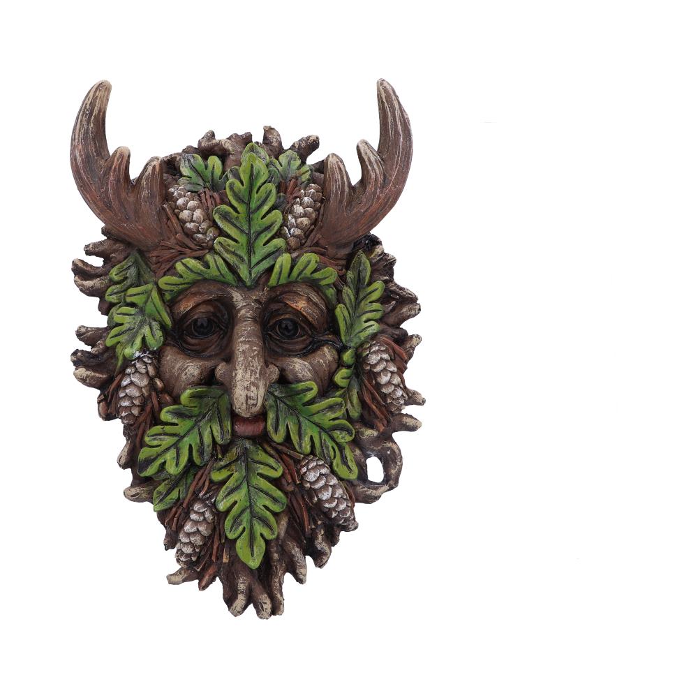 Bryn Wall Mounted Tree Spirit 20.8cm: 2 - Wall Hanging Sculptures By Gift Moments