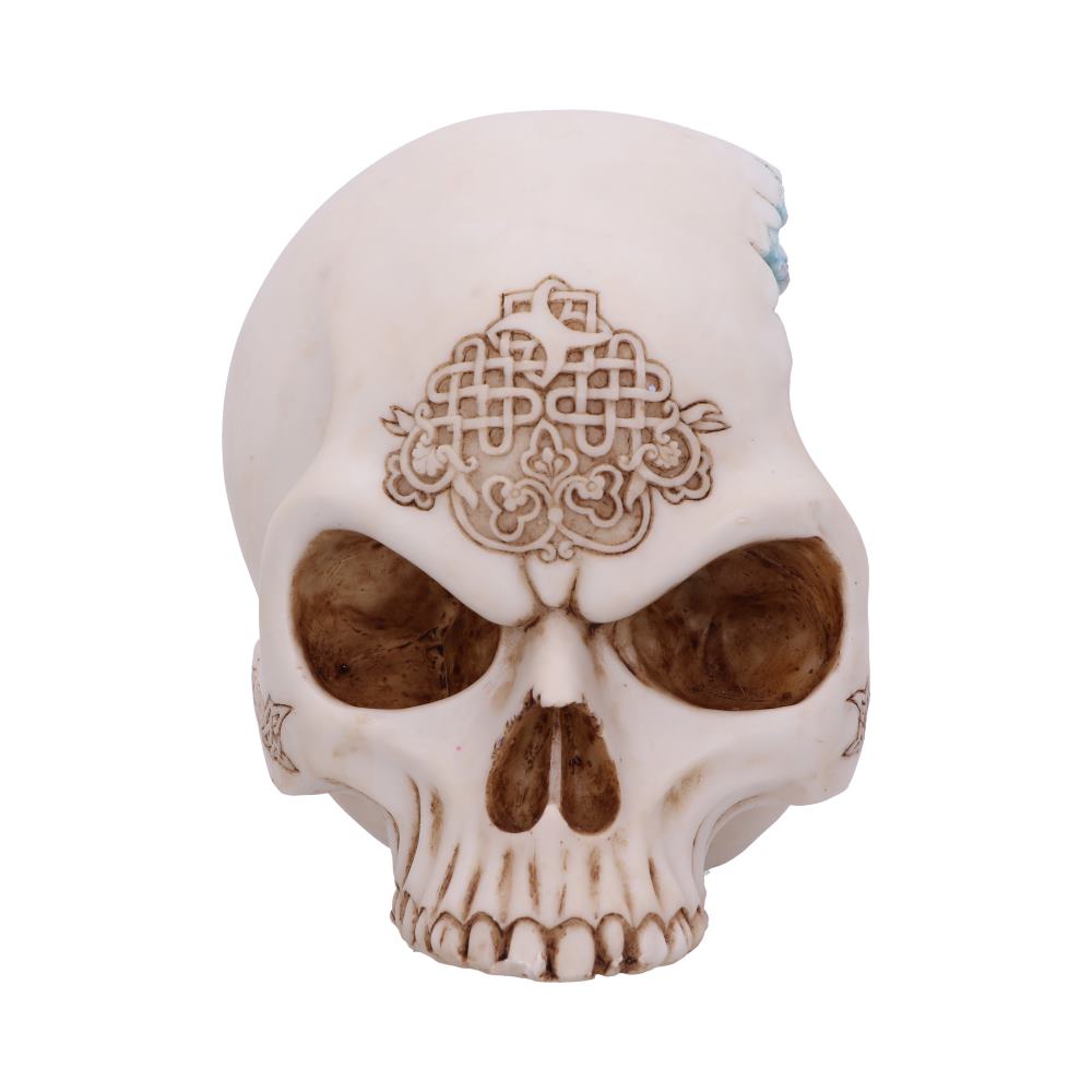 Celtic Cave Skull 15cm: 5 - Figures & Collectables By Gift Moments