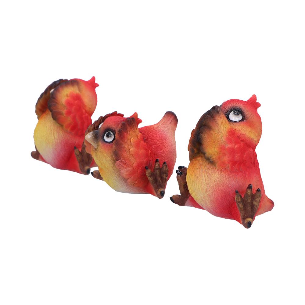 Comical Three Wise Bird Figurines: 3 - Figures & Collectables By Gift Moments