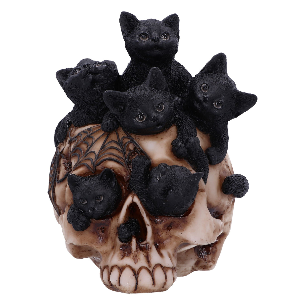 Cranial Litter Skull: 3 - Figures & Collectables By Gift Moments