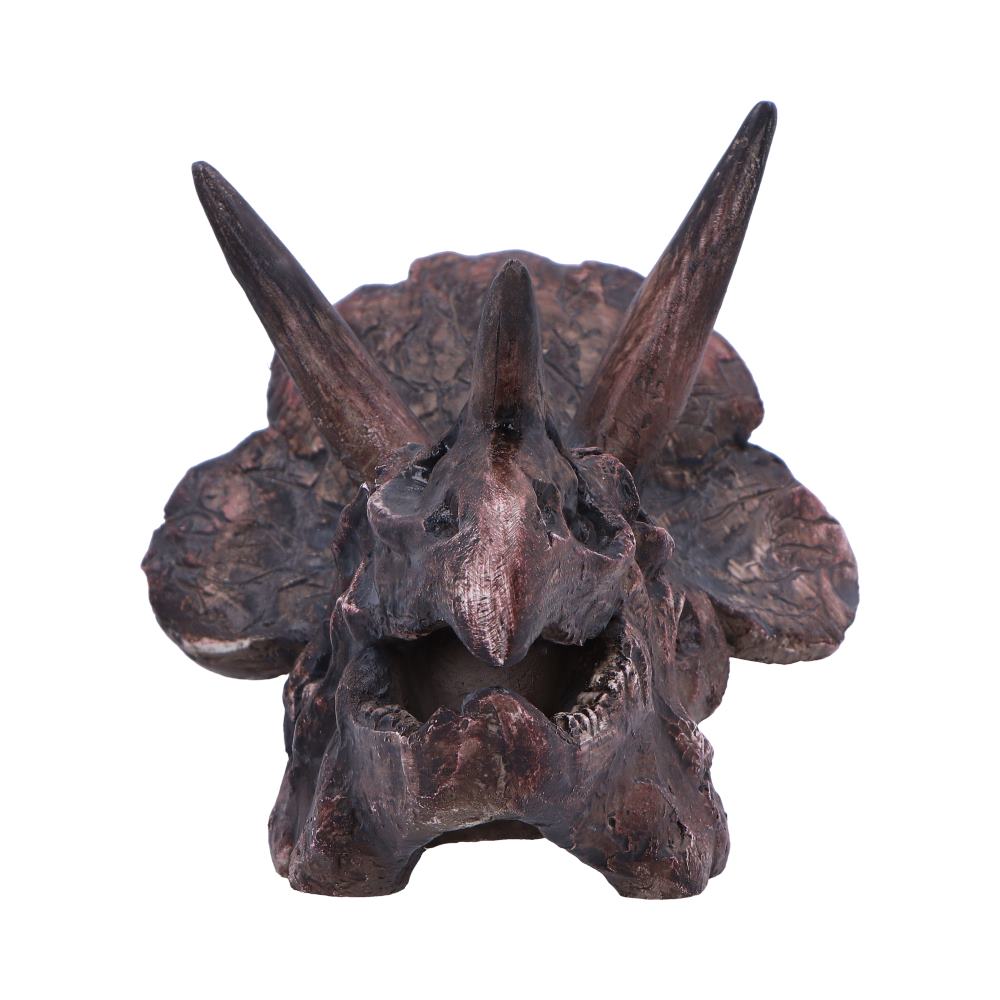 Triceratops Skull Resin Replica - Shop Figurines Medium (15-29cm) At Gift Moments - 3