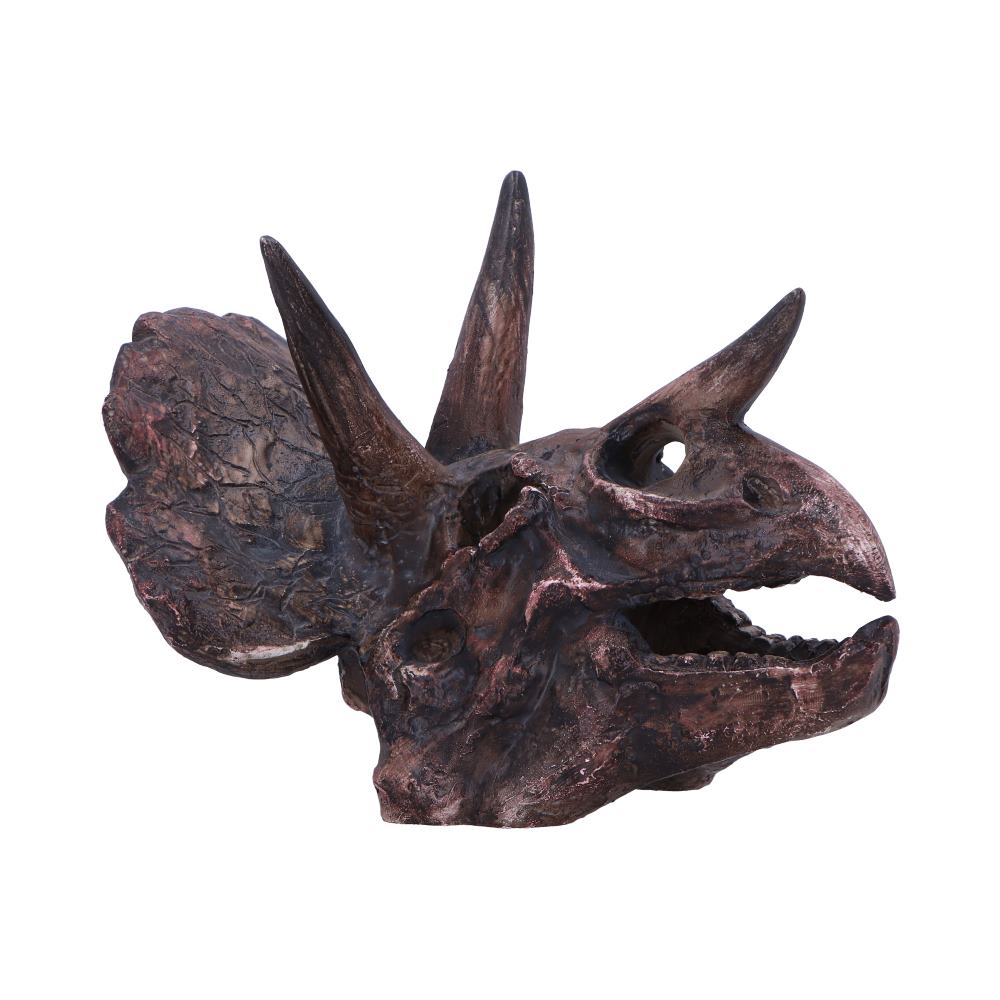 Triceratops Skull Resin Replica - Shop Figurines Medium (15-29cm) At Gift Moments - 2