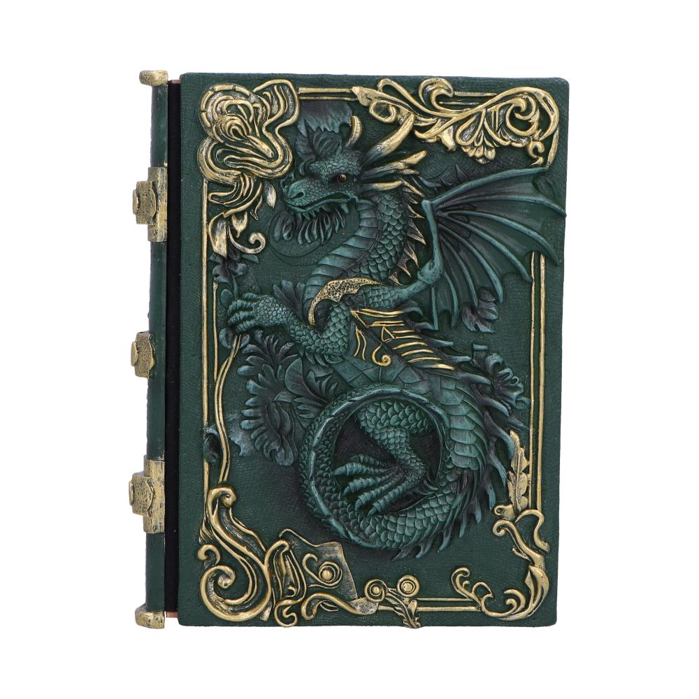 Dragon's Grimoire Journal 19.2cm