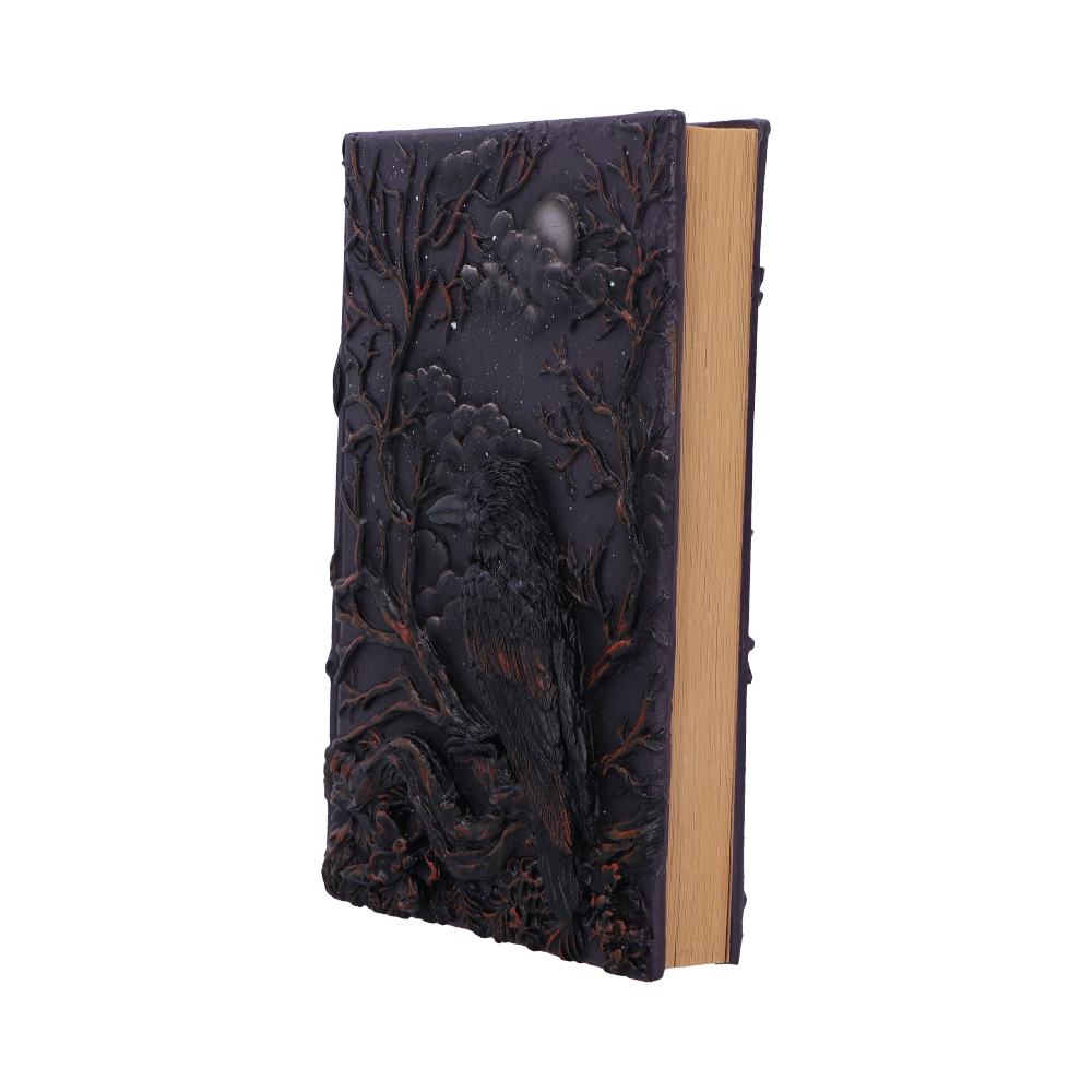 Raven's Grimoire Journal 19cm