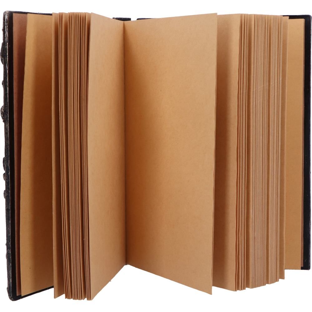 Forest Grimoire Journal 19cm - Shop Journals & Notebooks At Gift Moments - 3