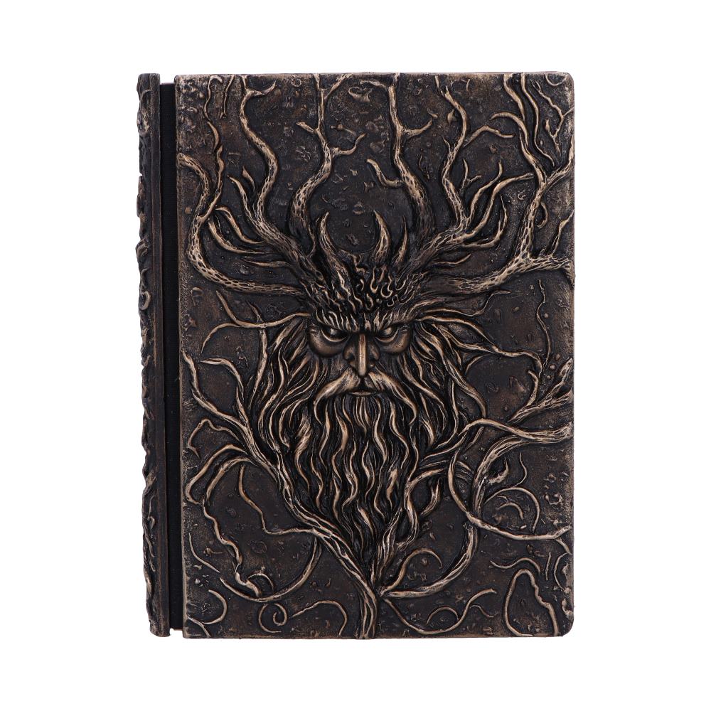 Forest Grimoire Journal 19cm - Shop Journals & Notebooks At Gift Moments - 2