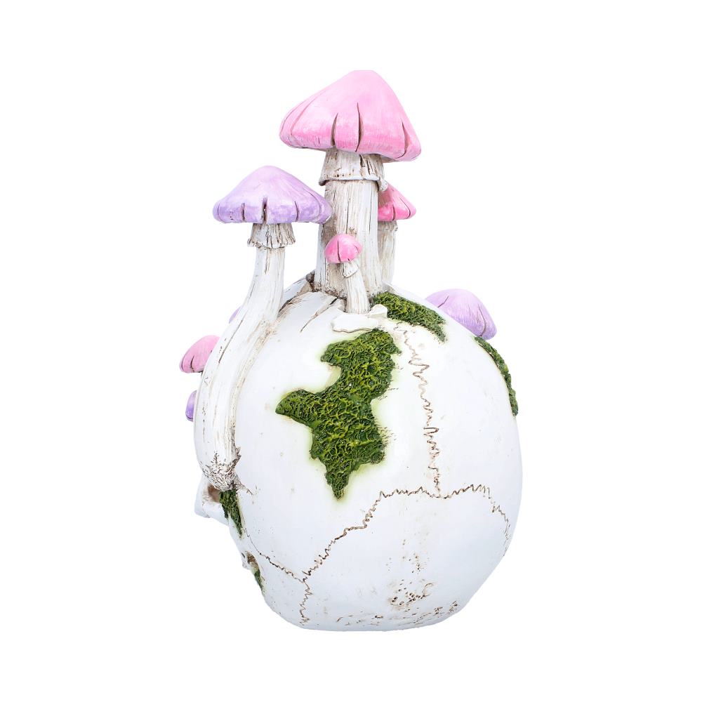 Sporebound Skull Figurine 29.5cm - Shop Figurines Medium (15-29cm) At Gift Moments - 4