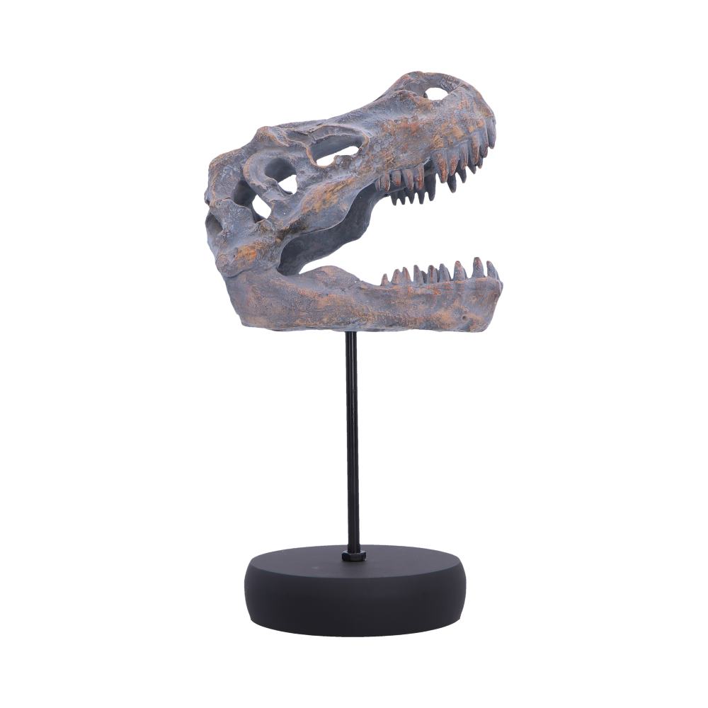 Tyrannosaurus Rex Skull on Plinth 24.2cm