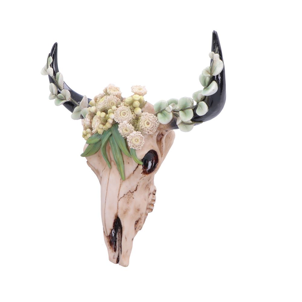 Floral Crown Skull Ornament 27.5cm - Shop Wall Hanging Sculptures At Gift Moments - 3