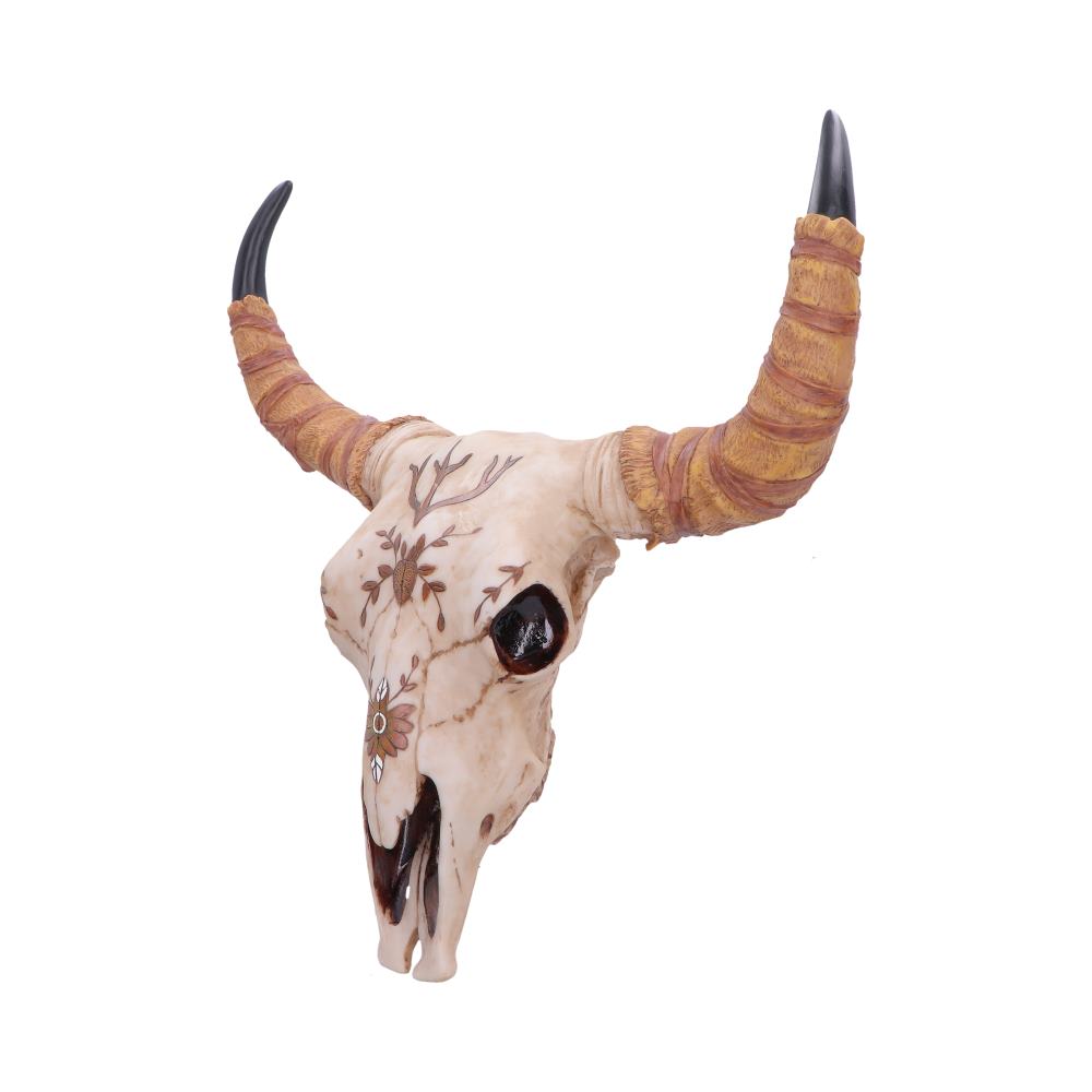 Spirit of the South Crown Skull Ornament 42.5cm - Shop Wall Hanging Sculptures At Gift Moments - 3