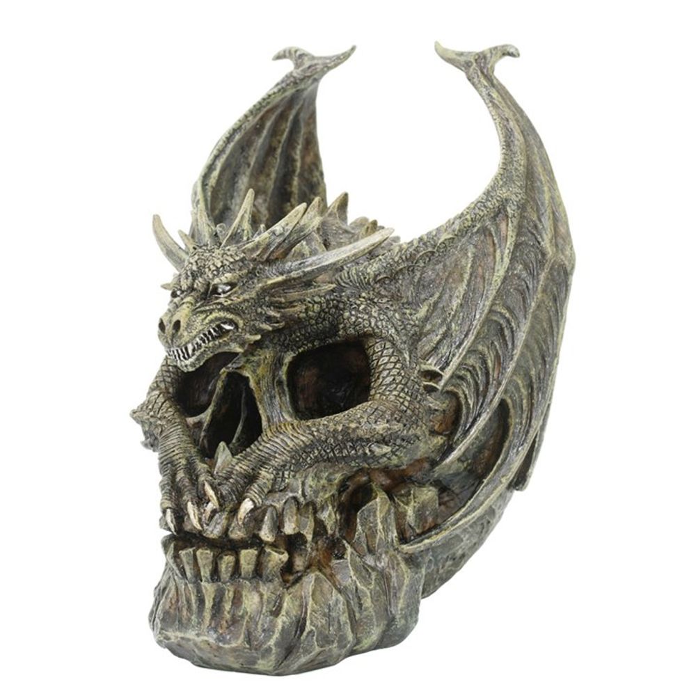 Draco Dragon Skull Ornament by Spiral Direct: 1 - By Gift Moments