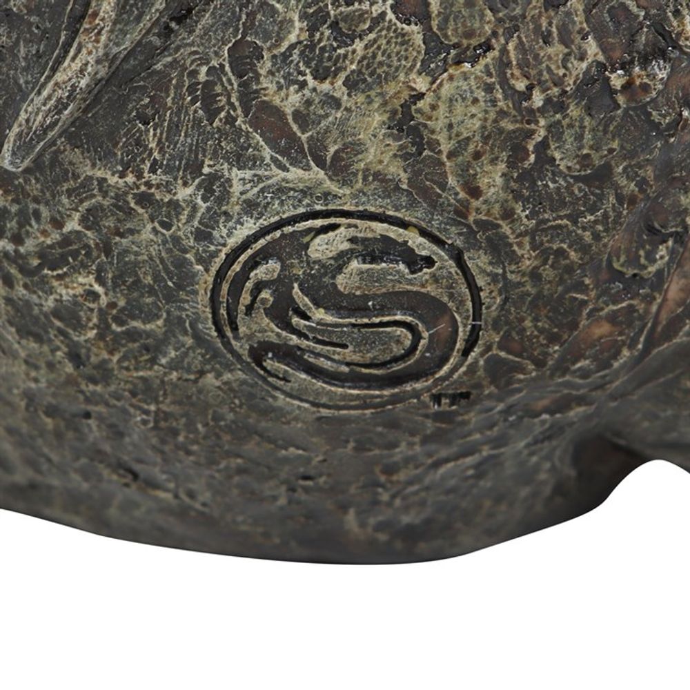 Draco Dragon Skull Ornament by Spiral Direct: 5 - By Gift Moments