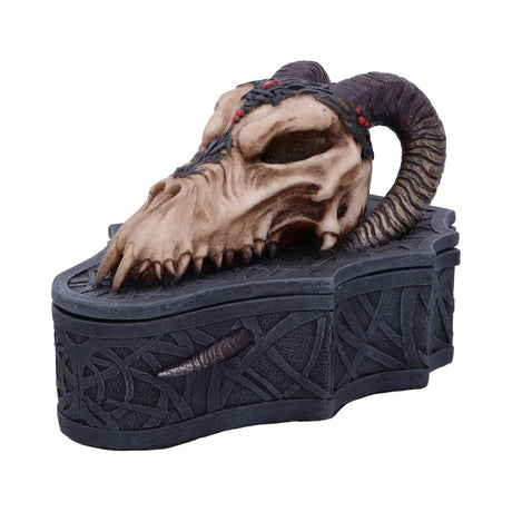Dragon Skull Box (Monte Moore) 17.7cm: 3 - Boxes By Gift Moments