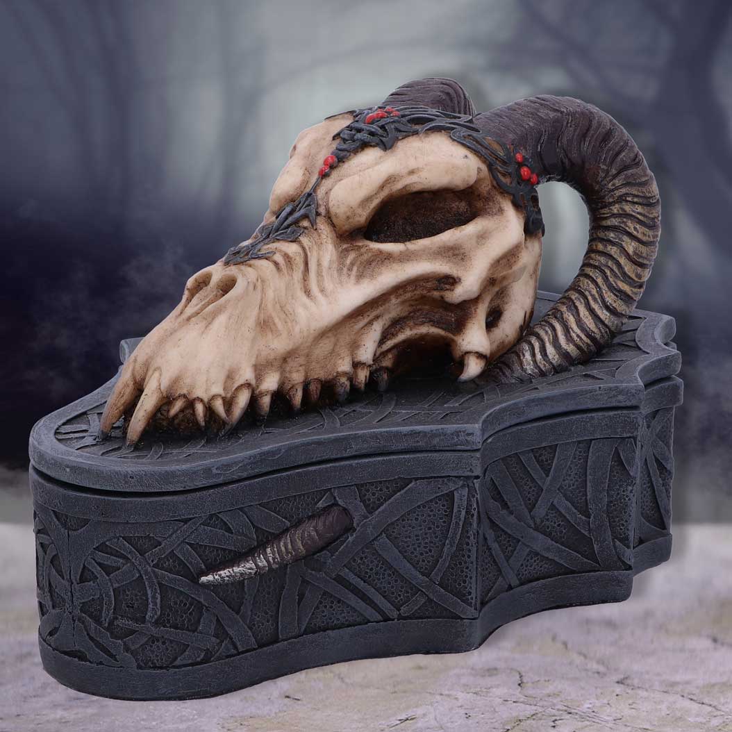 Dragon Skull Box (Monte Moore) 17.7cm: 1 - Boxes By Gift Moments