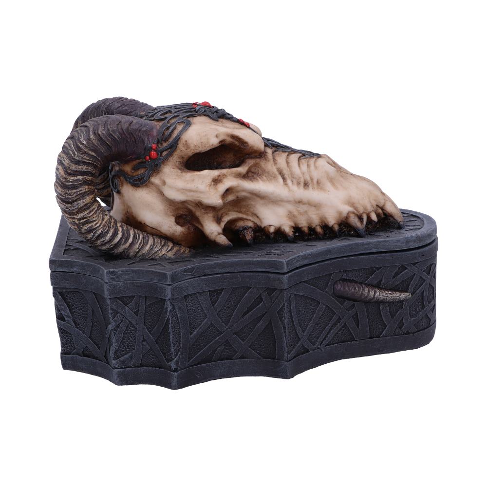 Dragon Skull Box (Monte Moore) 17.7cm: 5 - Boxes By Gift Moments