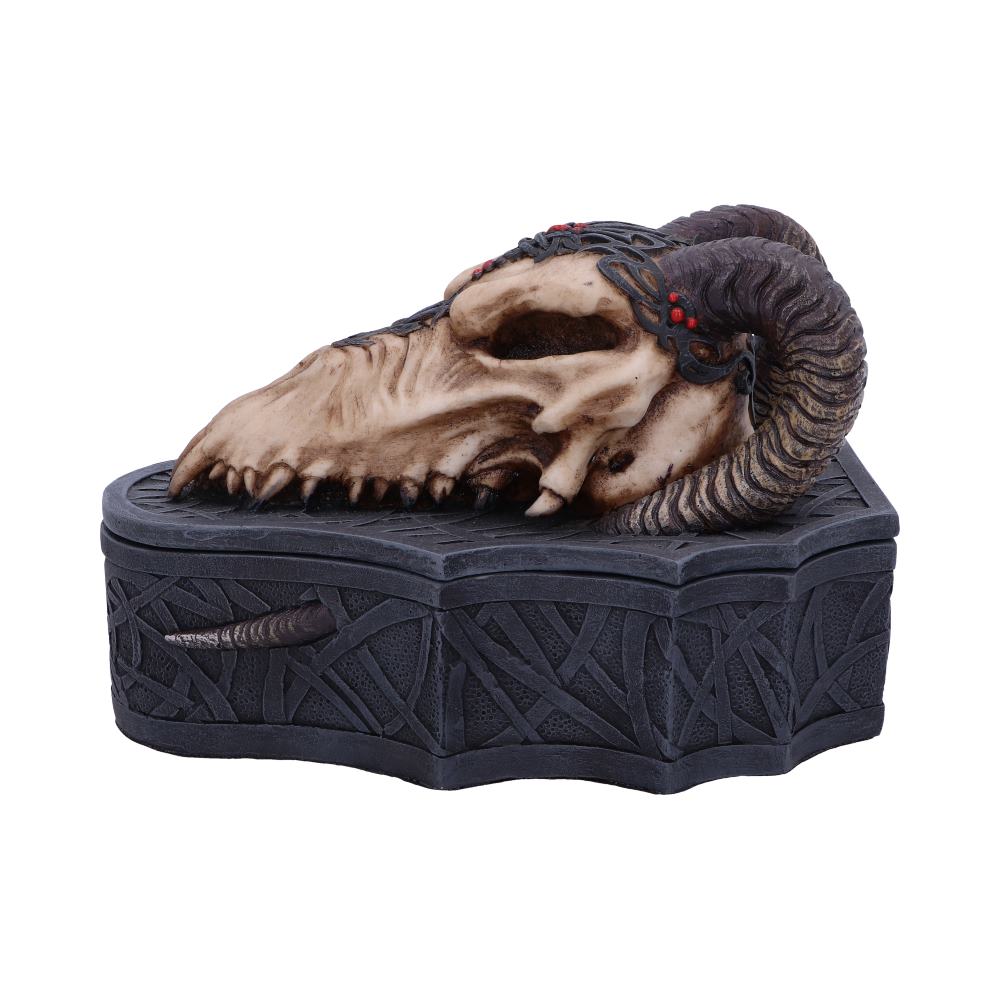 Dragon Skull Box (Monte Moore) 17.7cm: 2 - Boxes By Gift Moments