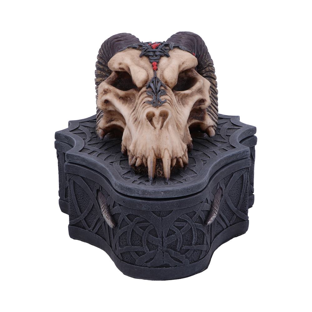 Dragon Skull Box (Monte Moore) 17.7cm: 4 - Boxes By Gift Moments