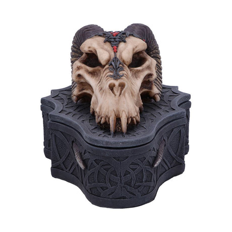 Dragon Skull Box (Monte Moore) 17.7cm: 4 - Boxes By Gift Moments