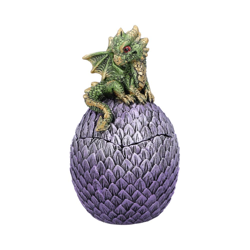 Dragonling Perch Box Metallic Green Dragon Box 14cm: 2 - Boxes By Gift Moments