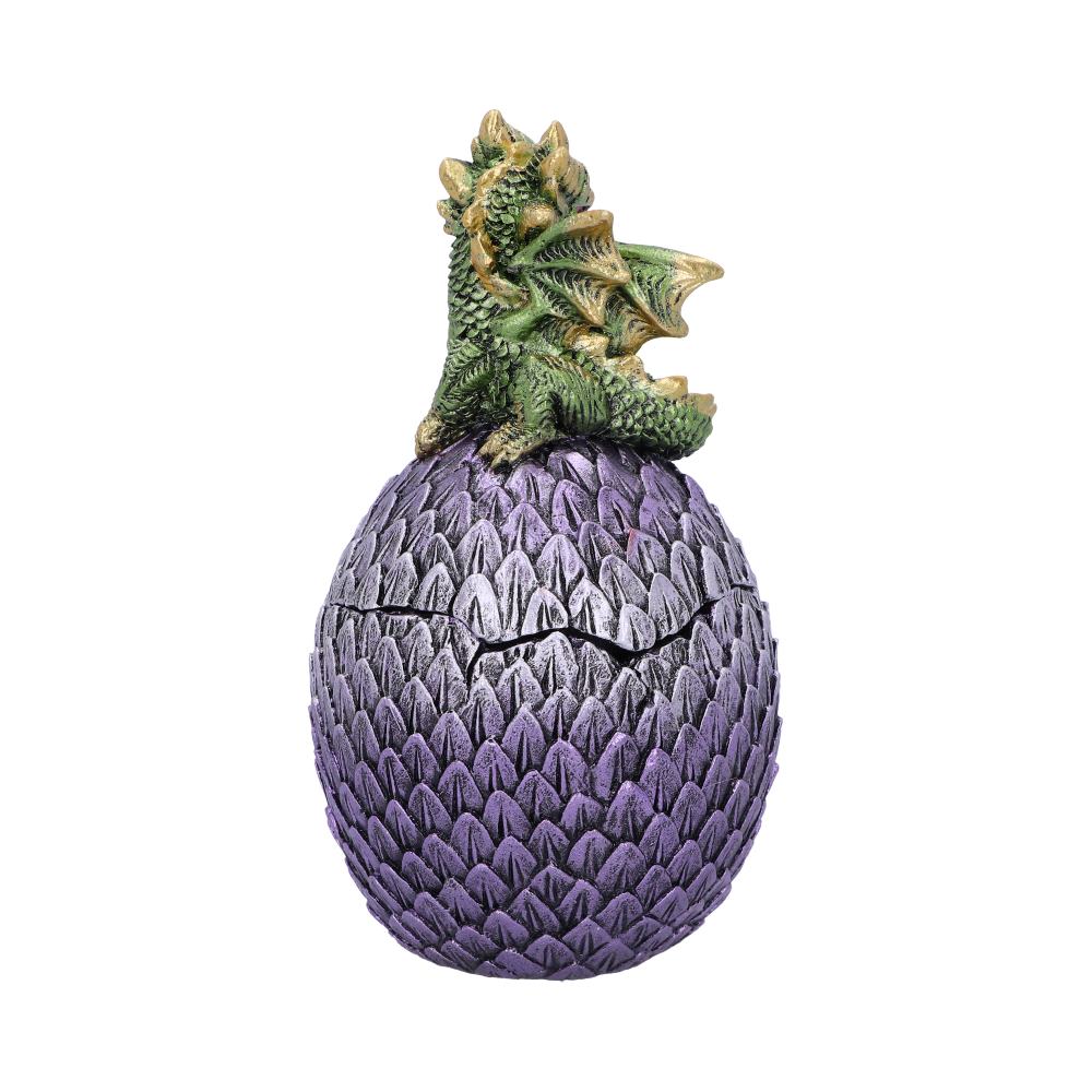 Dragonling Perch Box Metallic Green Dragon Box 14cm: 4 - Boxes By Gift Moments