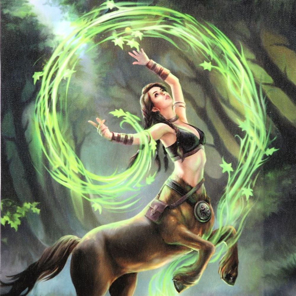 Earth Element Sorceress Canvas Plaque by Anne Stokes: 3 - Wall Art By Gift Moments